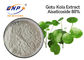 Asiatica Auszug Asiaticoside 80% Centella für Haut weißer Gotu Kola Extract Powder