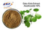Asiatica Auszug Asiaticoside 80% Centella für Haut weißer Gotu Kola Extract Powder