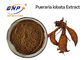 Kudzu-Wurzel-natürliches Pflanzenauszug-Isoflavone 40% Brown gelbes Pueraria Lobata-Pulver