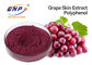 20% Polyphenol-rote Trauben-Haut-Auszug-Vitis- Viniferasambucus Nigra L.