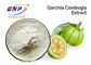Garcinia-Gummigutt-Auszug weiße feine Pulver-natürliche Pflanzenauszüge Hydroxycitric saurer 50% 60%