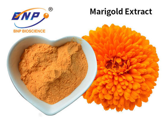 Lutein-Farbstoff-Lebensmittel-Zusatzstoff Tagetes Erecta L. des Ringelblumen-Auszug-gelber Pulver-10%~80%.