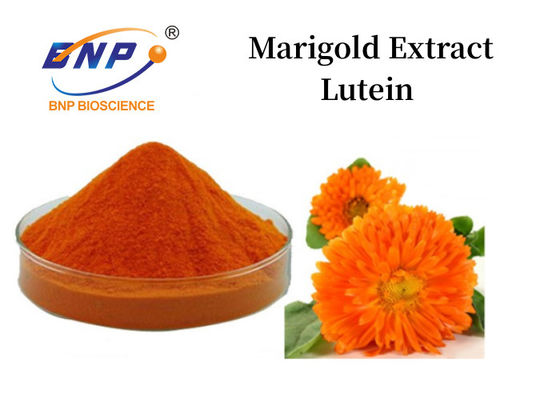 Ringelblumenextrakt Luteinpulver 5%-90% orangegelbes Pulver